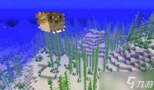 如何在《我的世界》中获取河豚？全面捕捉与使用指南