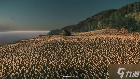 《羊蹄山之魂》总监谈《对马岛之魂》男主境井仁彩蛋任务：给他一个归宿结局