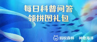 圆翅燕鱼幼鱼会模仿什么