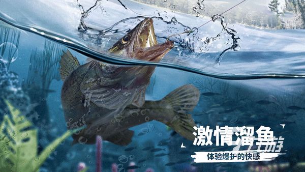 2025热门钓鱼刮鱼鳞游戏推荐：真实感强、操作爽快的休闲捕鱼手游合集