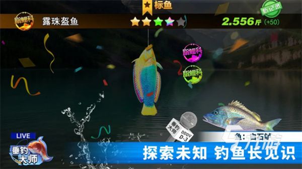 2025热门钓鱼刮鱼鳞游戏推荐：真实感强、操作爽快的休闲捕鱼手游合集