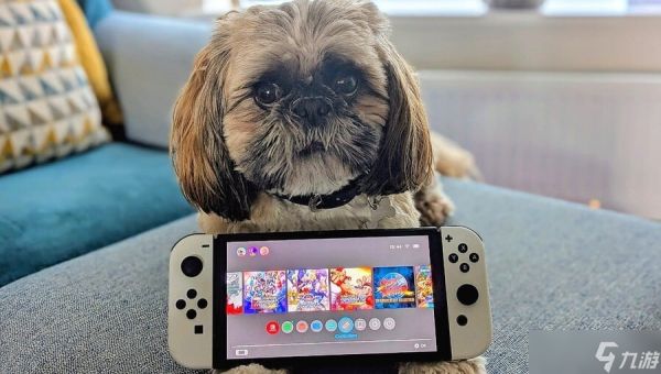 专题：再见，任天堂 Switch——终于到了和这位老朋友告别的时候了