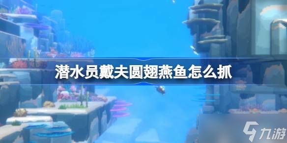 潜水员戴夫圆翅燕鱼抓捕全攻略