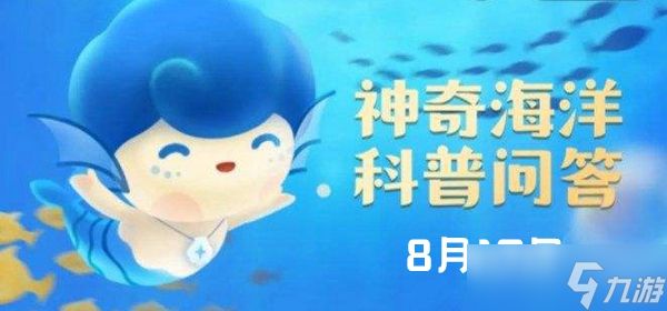 海蛞蝓变色之谜：藻类饮食决定鲜艳色彩