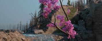 孤岛惊魂新曙光我的小小要塞成就如何完成