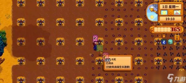 星露谷物语夏季攻略（夏季种植指南）