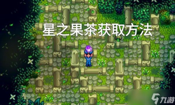 星露谷物语（探索游戏世界）