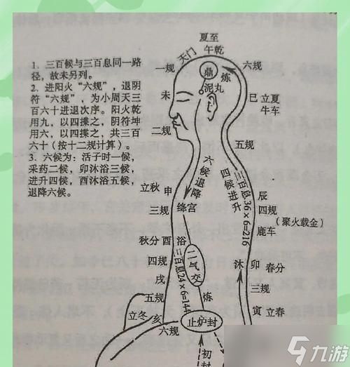 御龙在天仙炉炼丹步骤是什么?如何提高炼丹成功率?