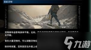 死亡搁浅2委托货物是什么