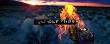 csgo名称标签使用次数究竟是多少