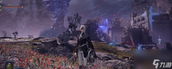 《艾尔登法环：黑夜君临》隐士游玩攻略