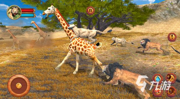 2026好玩的狮子主题游戏推荐:高人气动物题材手游合集