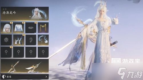 沧海龙吟多少钱才能拿下：价格解析与购买指南