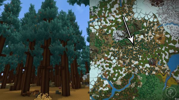 如何在 Hytale 中获得深色木材