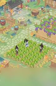 华夏千秋建造玩法是什么