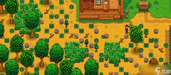 <a id='link_pop' class='keyword-tag' href='https://www.9game.cn/xlgwy/'>星露谷物语</a>前期怎么发展