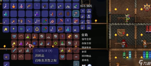 泰拉瑞亚可疑眼球有什么用