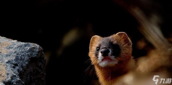 刺客信条起源(一场让你挑战极限的旅程)