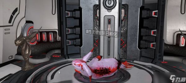 星际战甲好运猫怎么抓