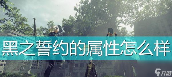 《尼尔机械纪元黑之契约》的获取方法详解（打造独特世界的冒险之旅）