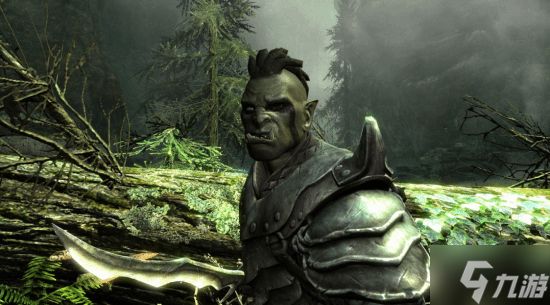 《上古卷轴6》是否接棒天际？前首席设计师曝B社叙事策略