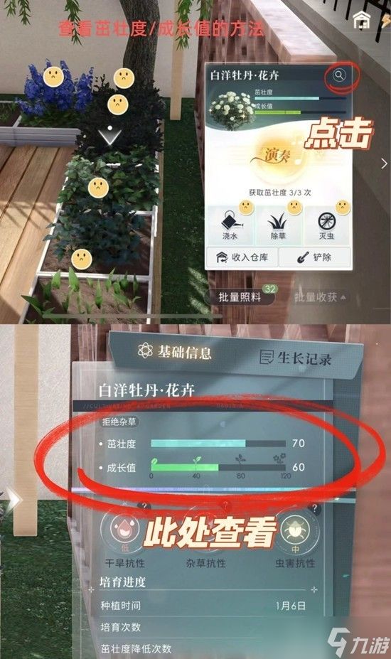 恋与深空游戏家园怎么种植