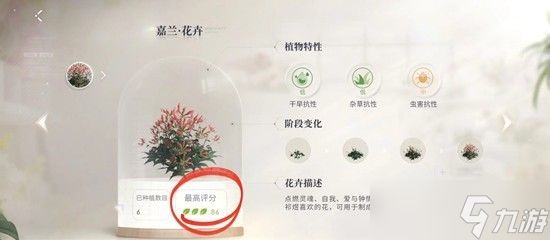 恋与深空游戏家园怎么种植