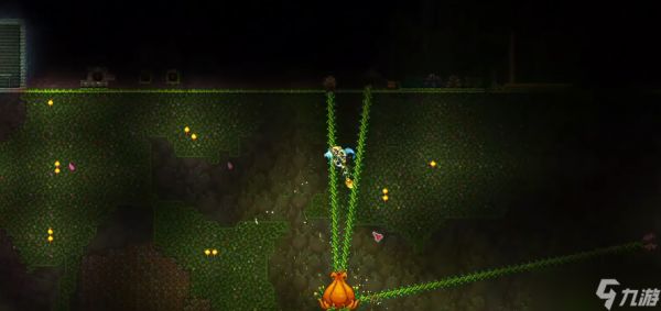 泰拉瑞亚地牢宝箱在哪里