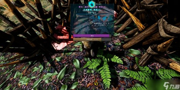 方舟生存进化古神翼龙加点推荐什么