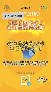 疯狂的鸽子第11关通关方法