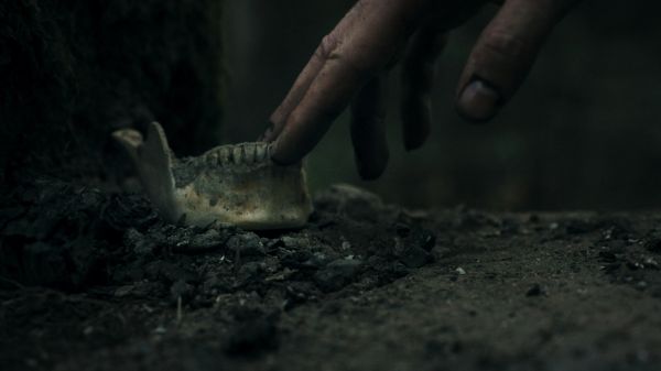 幽林深处好玩吗 幽林深处玩法简介