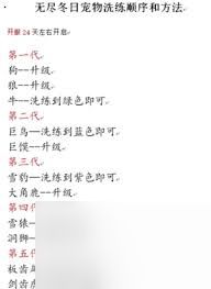 无尽冬日宠物升级和洗练顺序怎么选