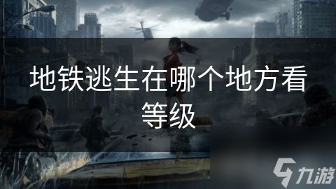 地铁逃生在哪个地方看等级