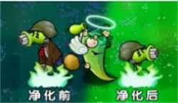 植物大战僵尸杂交版星光闪卡净化辣椒全面解析