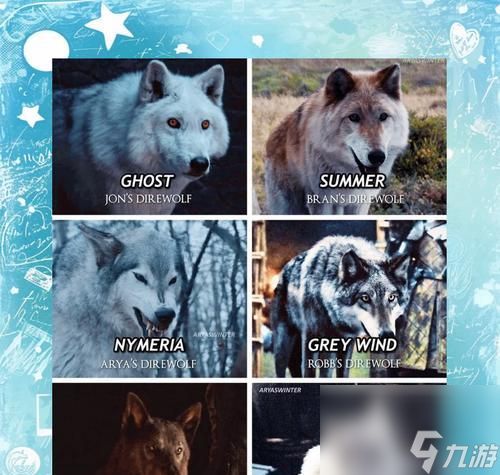 北加尔狼族（探索北加尔狼族特点及其优缺点）