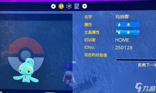 宝可梦剑盾闪光精灵抓捕方法大全（探索世界的闪光之旅）