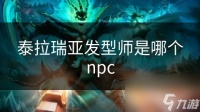 泰拉瑞亚发型师是哪个npc