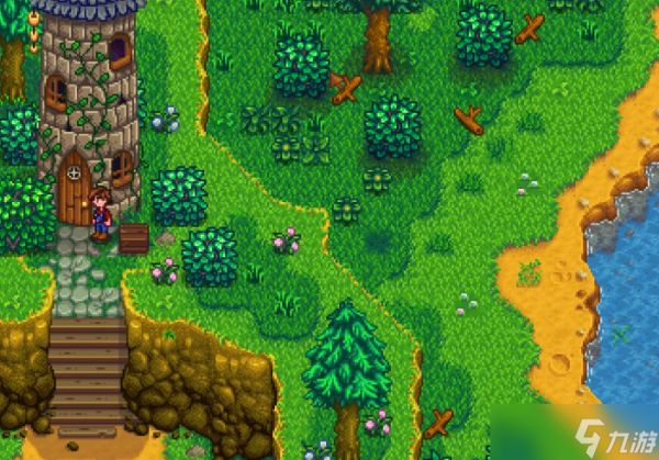 星露谷物语法师塔怎么去