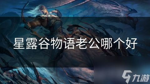 星露谷物语老公哪个好