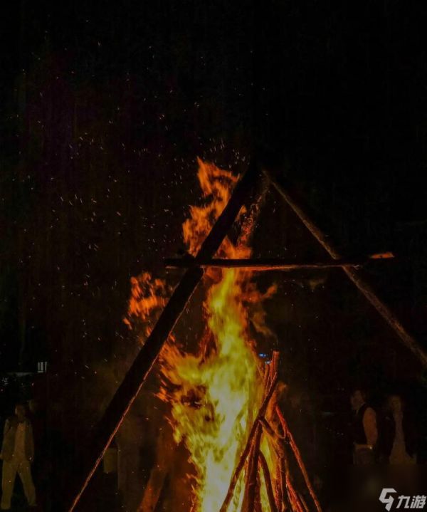 Valheim篝火之用(解析Valheim中篝火的多重功能)