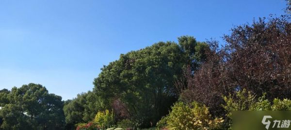 Temtem公园攻略(掌握刷公园技巧)