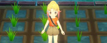 牧场物语如何在风之繁华集市前期培养6星农作物