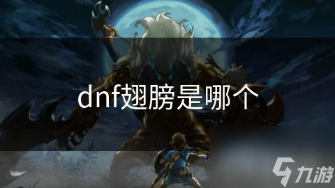 dnf翅膀是哪个