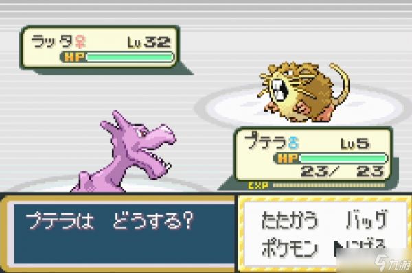 口袋妖怪火红琥珀化石哪里拿