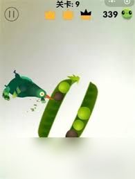 疯狂的鸽子第9关怎么通关