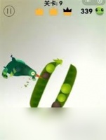 疯狂的鸽子第9关怎么通关