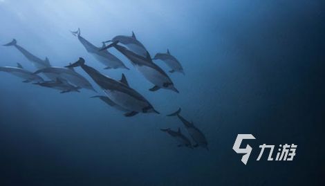 2026耐玩又惊险的单机游戏推荐及下载指南