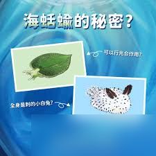 哪种海洋生物能通过摄食获得光合作用能力