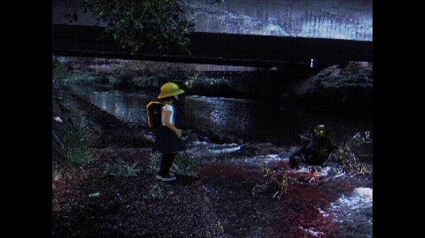 散歩好玩吗 散歩玩法简介