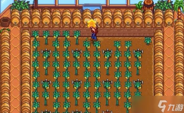 <a id='link_pop' class='keyword-tag' href='https://www.9game.cn/xlgwy/'>星露谷物语</a>温室种什么果树